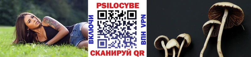 хочу наркоту  Власиха  Галлюциногенные грибы Magic Shrooms 