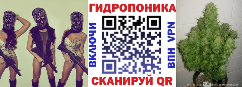 Бошки Шишки конопля  Власиха 
